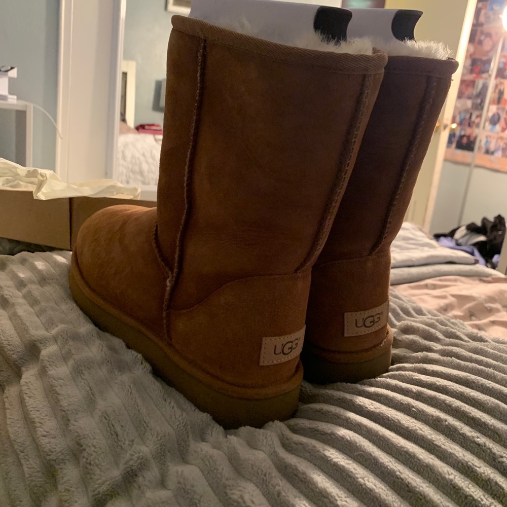 Chestnut Uggs